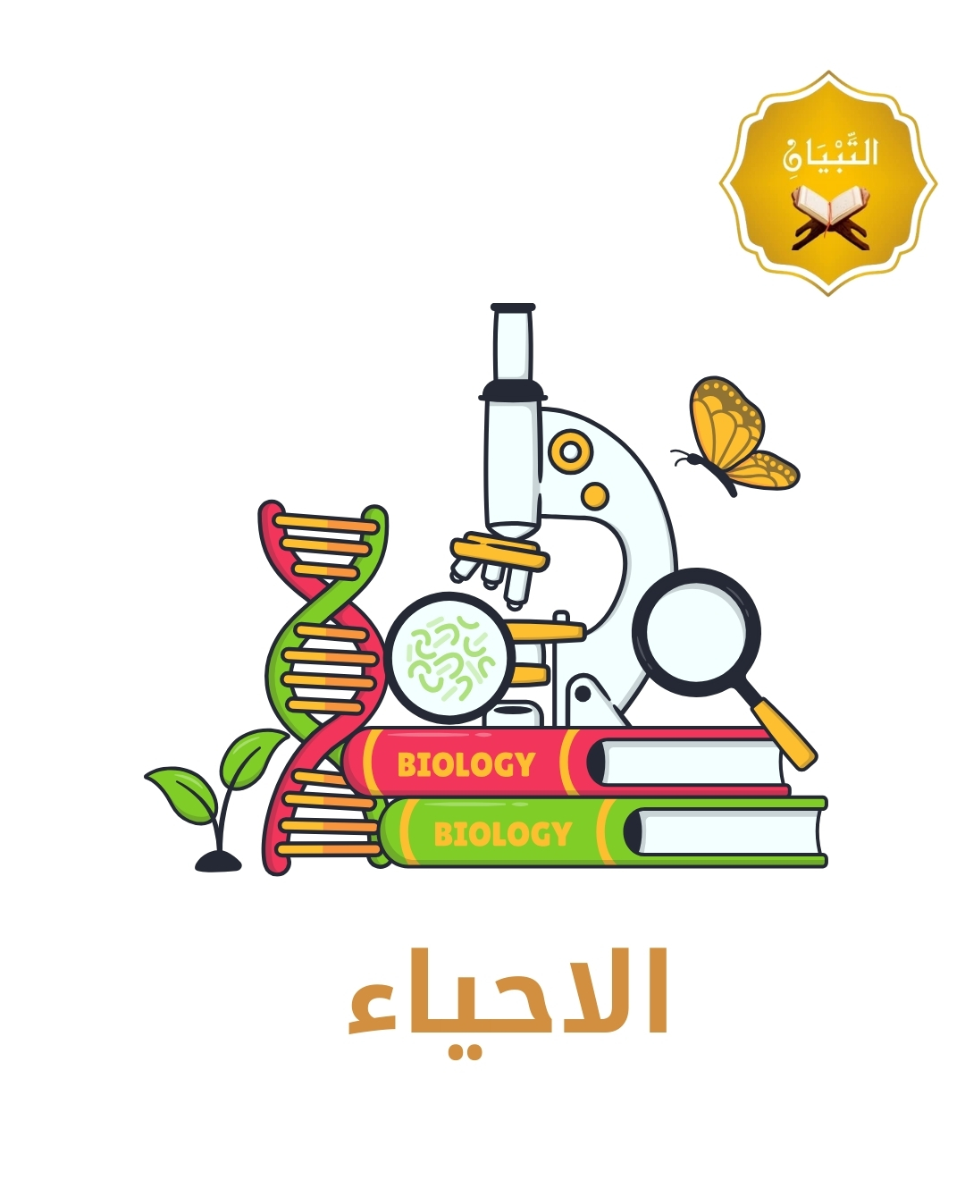 الأحياء